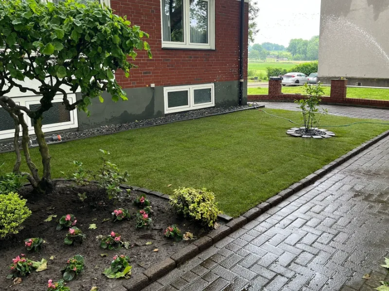 Vorgarten mit frischem Rollrasen, Beet mit Begonien und gepflastertem Weg vor einem Backsteinhaus