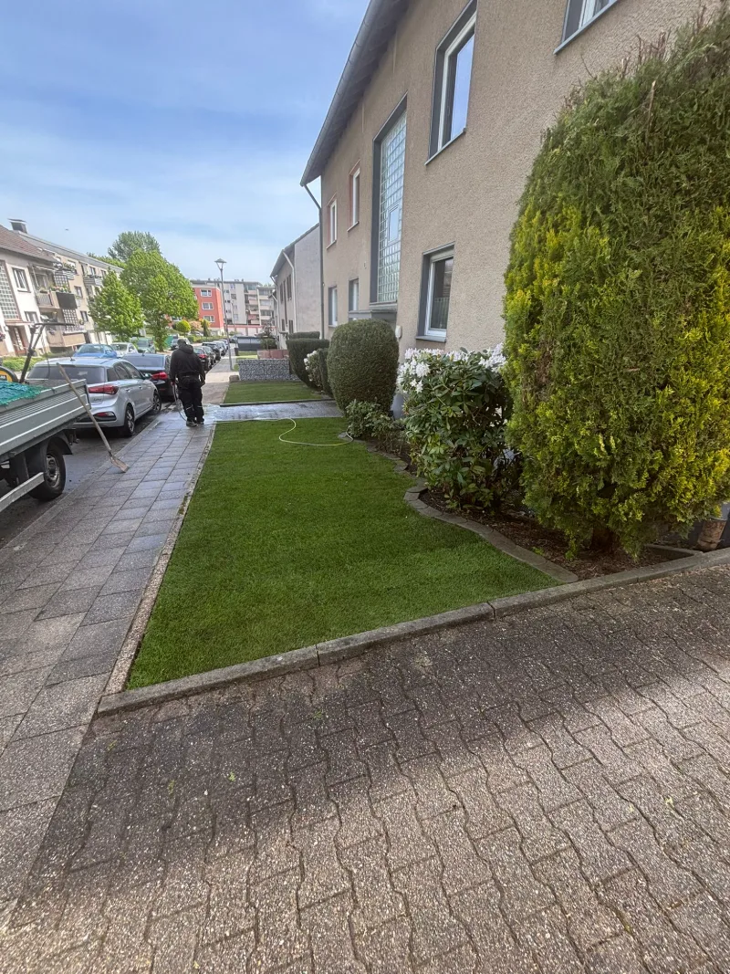 Derselbe Vorgarten mit frisch verlegtem Rollrasen, daneben Sträucher und eine hohe Hecke